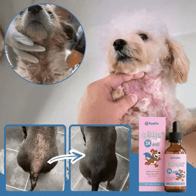 PawRelief™ Solution Liquide pour Chien | Stoppez les démangeaisons et soulagez votre chien en 7 jours chrono !