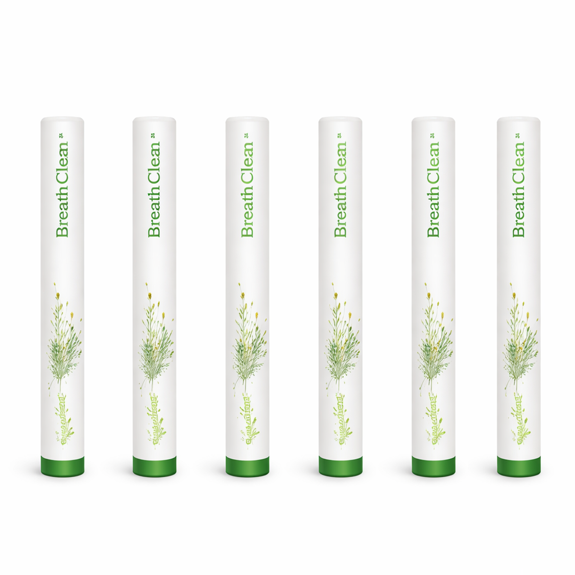 BreathClean™ Diffuseur Botanique | Nettoyez vos poumons et retrouvez un souffle puissant en quelques minutes !