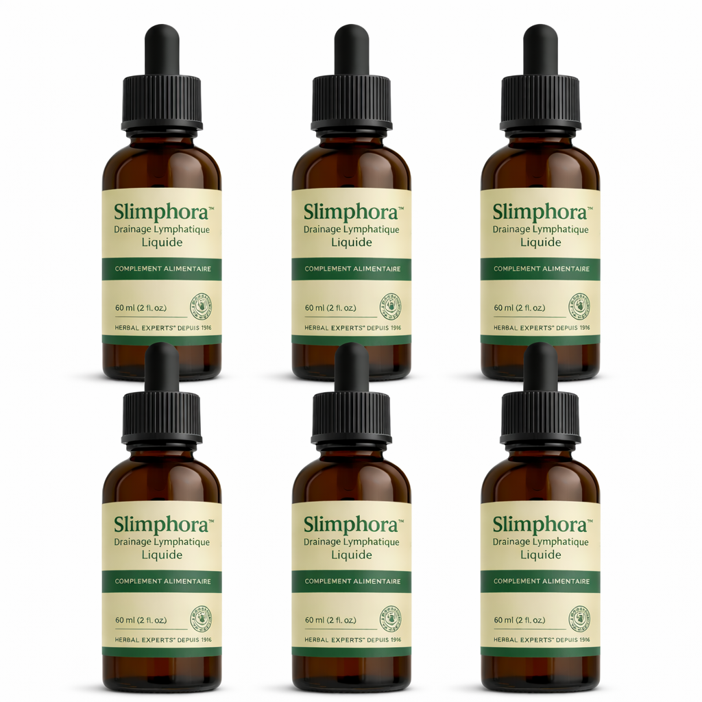 Slimphora™ Drainage Lymphatique Liquide | Dégonflez visage, ventre et jambes en 7 jours !