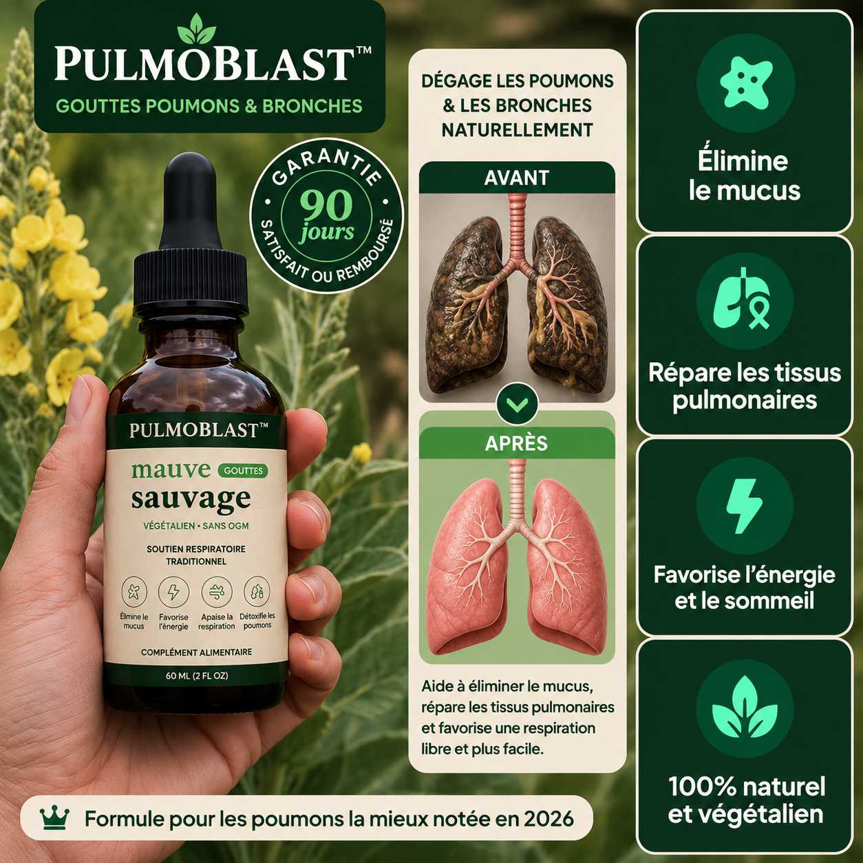 PulmoBlast™ Gouttes Poumons & Bronches | Nettoyez vos voies respiratoires et respirez enfin librement !