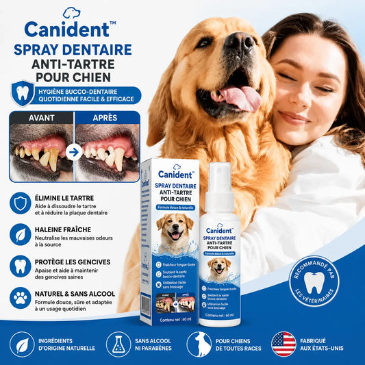 Canident™ Spray Dentaire Anti-Tartre pour Chien | Des dents plus propres et une haleine fraîche en 48 heures, sans brossage !