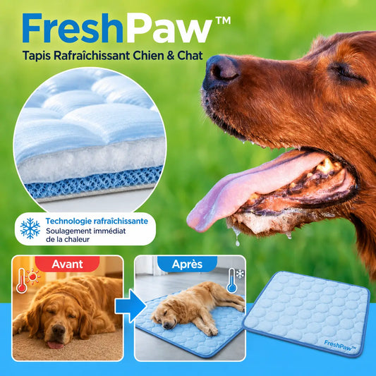 FreshPaw™ Tapis Rafraîchissant Chien & Chat | Offrez-lui un coin frais instantané pendant les fortes chaleurs, sans eau ni électricité !