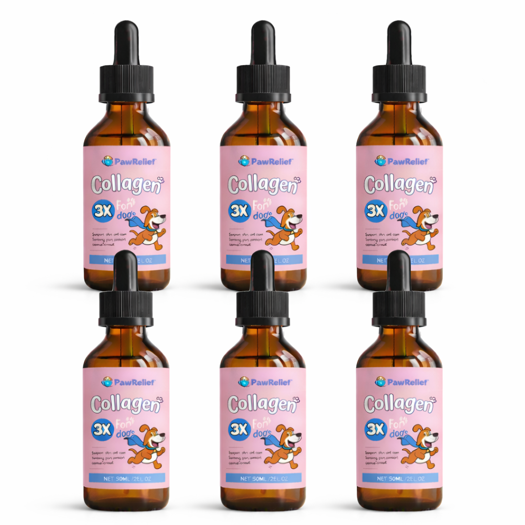 PawRelief™ Solution Liquide pour Chien | Stoppez les démangeaisons et soulagez votre chien en 7 jours chrono !