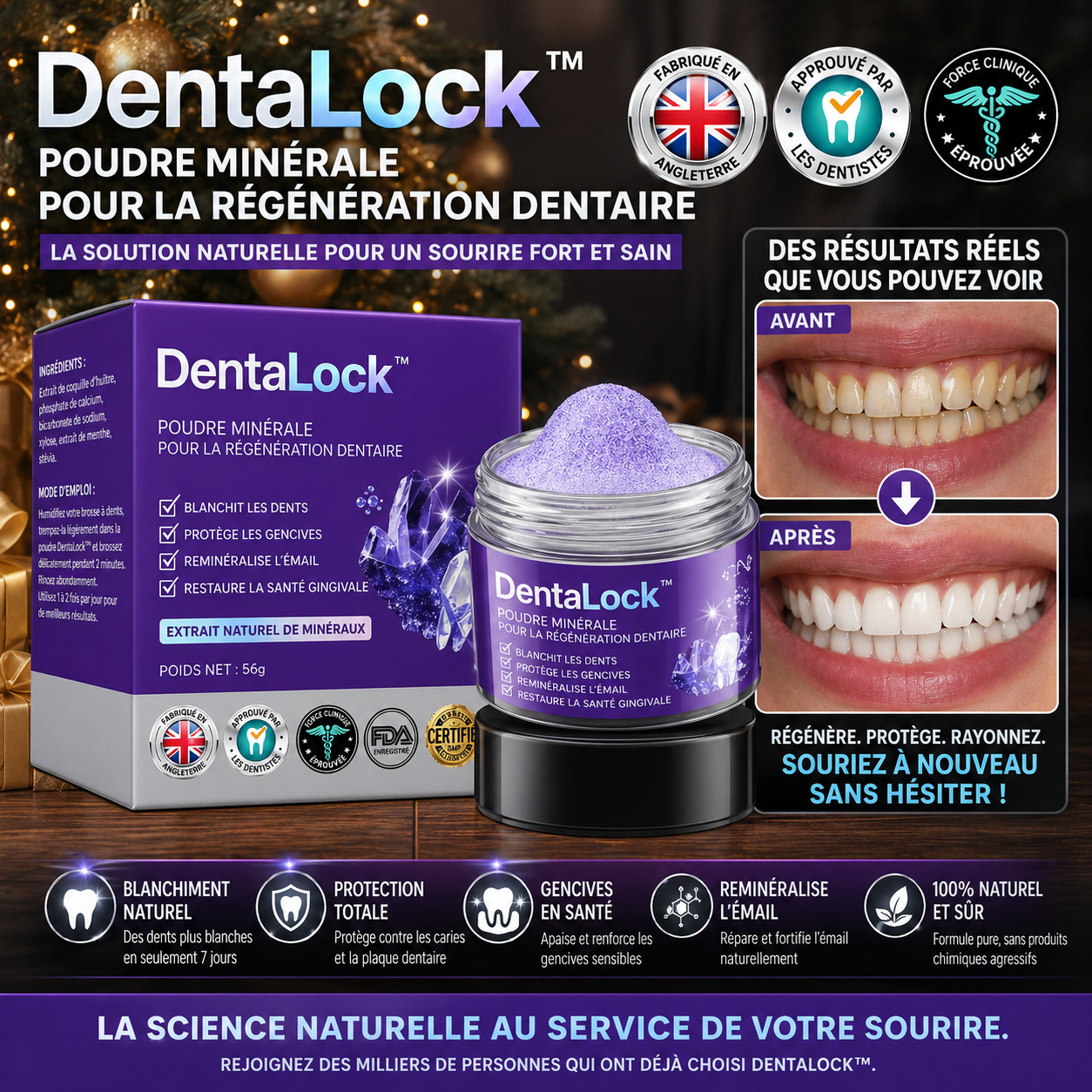 DentaLock™ Poudre Minérale Réparatrice pour les Dents | Stoppez les saignements et refixez vos dents naturellement !
